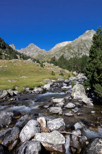 Berg Flod Med Tallar Och Vackra Bergiga Landskapet Marcadau Valley — Stockfoto