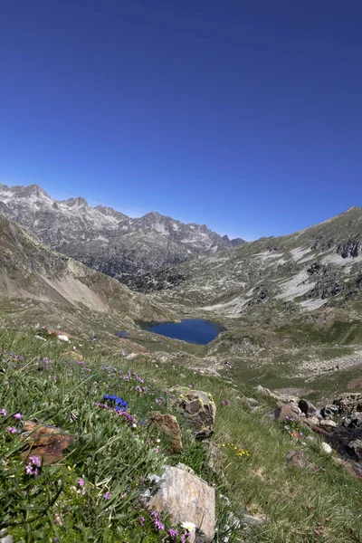 Lac Col Arratille Pirenejach Francuskich Górskie Jezioro Pobliżu Kaukazu Granicy — Zdjęcie stockowe