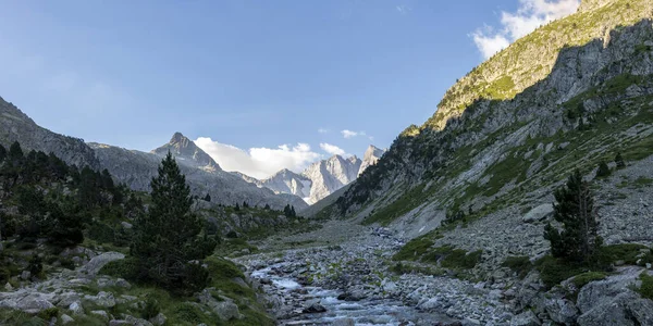 Panorámás Kilátás Hegyi Folyóra Fenyőfákkal Sziklákkal Gyönyörű Hegyvidéki Táj Marcadau — Stock Fotó