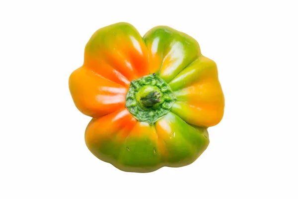 Naturliga Gula Orange Och Grön Paprika Från Trädgården — Stockfoto
