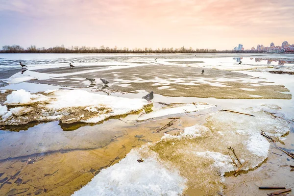 Blocchi Ghiaccio Sul Fiume Dnieper Congelato Kiev Durante Inverno Freddo — Foto Stock