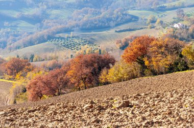 Belvedere Fogliense Ricione ve Urbino, İtalya arasında Marnixkade sarı ve turuncu ağaçlar Montefeltro bölgesinde, Marche'nın Tepesi'nde ile sonbahar
