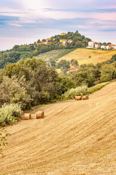Widok Fogliense Belvedere Mała Wioska Wzgórzu Pomiędzy Pesaro Urbino Regionie — Zdjęcie stockowe
