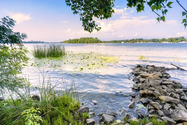 Vass och floden Dnepr — Stockfoto