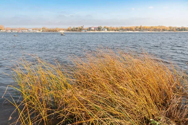 Bulrush blisko niebieskiej rzeki Dnieper — Zdjęcie stockowe