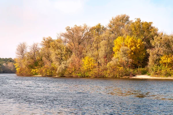 Árboles cerca del río en otoño — Foto de Stock