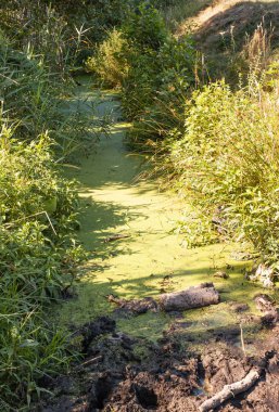 Irpin nehri, Kiev Kuzey Batı, Ukrayna, kaplıdır 
