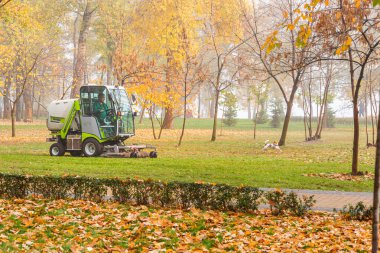 Outfront mowers Grillo, cleaning the fallen autumn leaves in the