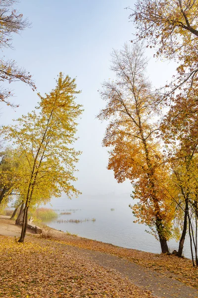 Esdoorn en populier in de buurt van de rivier de Dniper in de herfst — Stockfoto