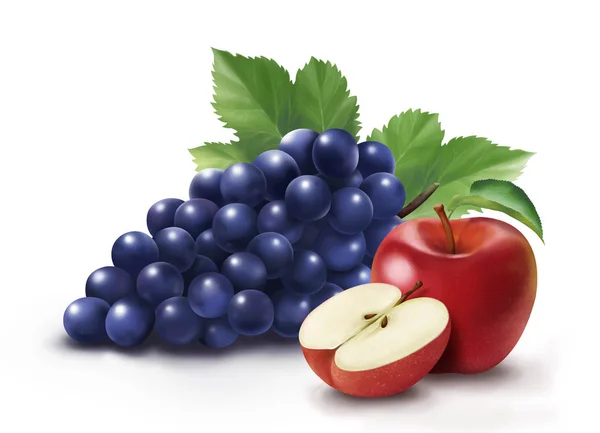 Realistic grape and apple illustration on white background for design uses