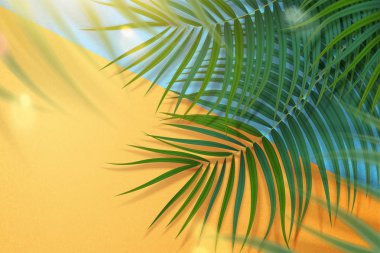 tropikal palmiye ağacı yaprakları