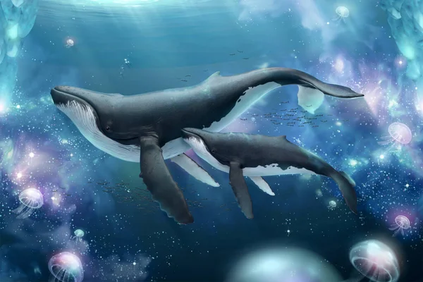 Mère Baleine Bosse Nageant Avec Son Veau Dans Océan Nébuleuse — Image vectorielle