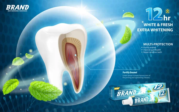 Koruyucu baloncukta diş anatomisi olan hassas yardım diş macunu reklamları, 3 boyutlu illüstrasyon.
