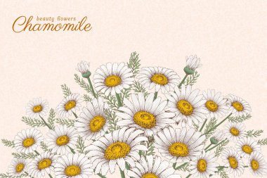 Bej arkaplanda işleme stili papatya çiçekleri