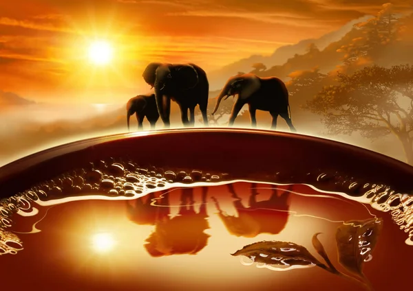 創造的な画像 マグカップ 美しい風景 山霧の中 夕日の反射でヒルズと象の家族内での泡ホット緑茶 ロイヤリティフリーのストック写真