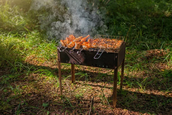 Rökt Kycklingspett Grillen Solig Dag Våren — Stockfoto