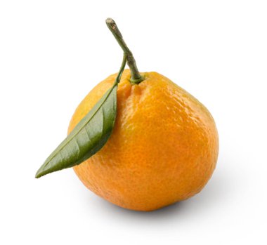 Beyaz bir arka plan üzerinde izole yeşil yapraklı mandalina