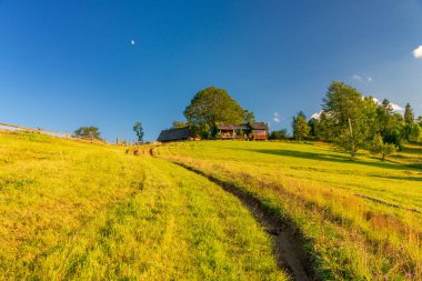 Carpathian dağlarındaki kır evi.