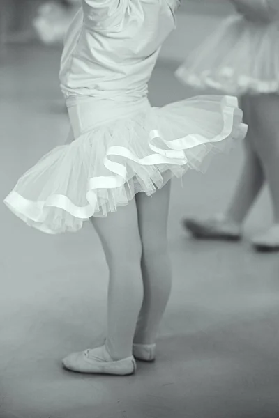 Baby ballet students in little pink tutu with pink satin ribbon, leotard and ballet wrap. Portrait format with copy space. Best images for young girl ballet inspiration posters. Back view. Monochrome