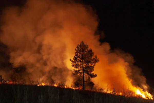 Geniş arka planda acil servis aracı ışıklı azgın söndürülmesi güç ateş grassfire bir atış. Orman yangını uyarı, yaz orman yangını uyarı poster ya da meme portre biçiminde için ilham görüntü