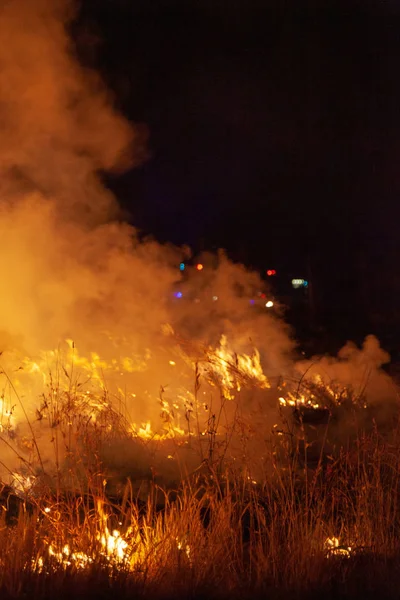 Närbild Rasande Wildfire Grassfire Med Utryckningsfordon Ljus Bakgrunden Inspiration Bild — Stockfoto