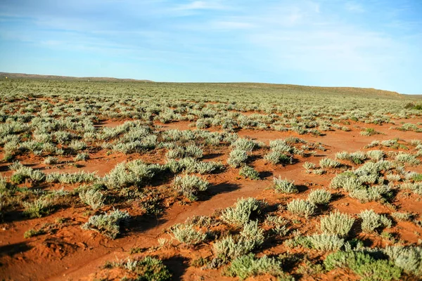 Rote Erde Und Salzwasser Silverton Nsw Outback Australia Inspiration Für lizenzfreie Stockbilder