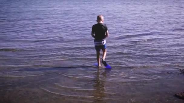 Un niño mostrando cómo caminar hacia atrás fuera del agua con las aletas puestas. Video adecuado para el ejemplo de campamento de vacaciones de verano . — Vídeo de stock