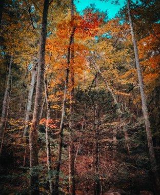 Duvarlar ve sahne çeşitli noktalardan