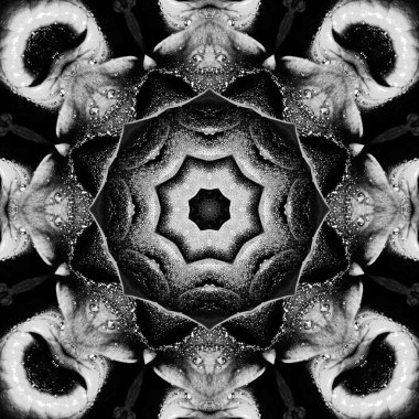 Mandala. 3D gerçeküstü illüstrasyon. Siyah ve beyaz. Kutsal geometri. Gizemli psychedelic gevşeme desen. Fraktal Soyut doku. Dijital sanat grafik Astroloji magic