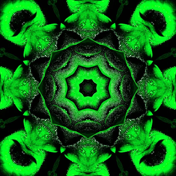 曼荼罗 超现实主义插图 神圣的几何学 神秘的迷幻放松模式 分形抽象纹理 数码艺术品图形占星术魔术 — 图库照片