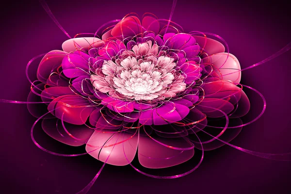 Exotic flower.3d abstract computer generated fractal design.Fractal is never-ending pattern.Fractals are infinitely complex patterns that are self-similar across different scales, colorful flowe