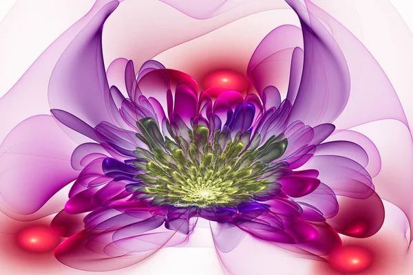 이국적인 꽃입니다 시리즈 페인트 색상입니다 프랙탈 텍스처의 배경과 상상력 창의력과 — 스톡 사진