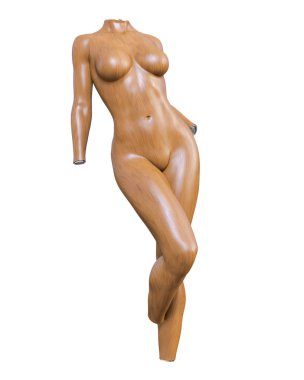 Kadın manken. Gövde
