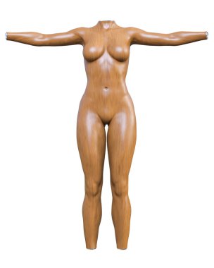 Kadın manken. Gövde