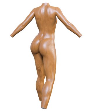 Kadın manken. Gövde