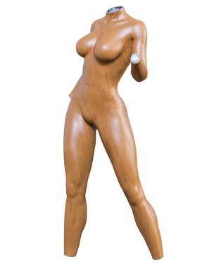 Kadın manken. Gövde