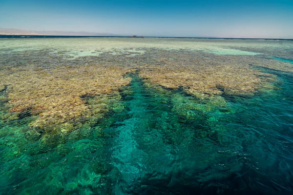 Красное Море Коралловый Риф Вид Лодки Улица Тирана Египет Стоковая Картинка