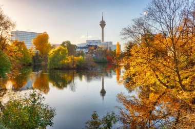 Sonbaharda Schwanenspiegel genel parkta, Düsseldorf, Almanya