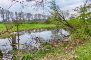 Almanya 'da Duesseldorf yakınlarındaki Urdenbach 'ta Shire manzarası