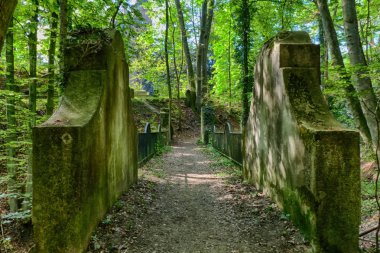 Almanya'da Essen Kettwig yakınlarındaki bir ormanda bir köprü ve yürüyüş parkuru.