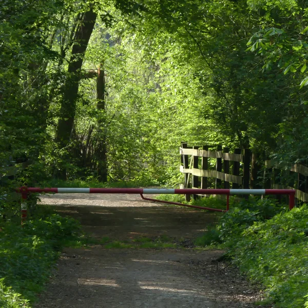 Forest track and gate barrier in Ratingen in Germany