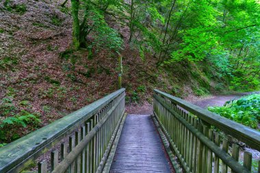 Almanya'da Winterberg, Sauerland'da bir dere yürüyüş parkurunda Brigde
