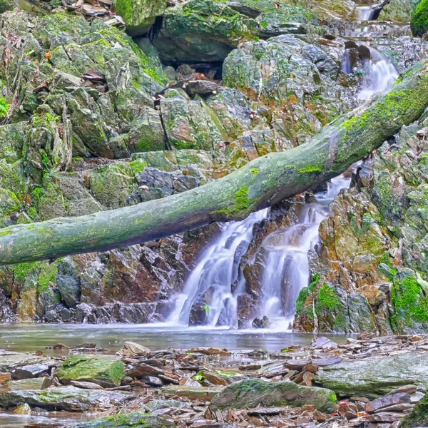 Cascata Percorso Escursionistico Torrente Vicino Winterberg Nella Regione Sauerland Germania — Foto Stock