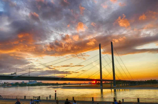 Tarde Verano Junto Rin Duesseldorf Alemania — Foto de Stock