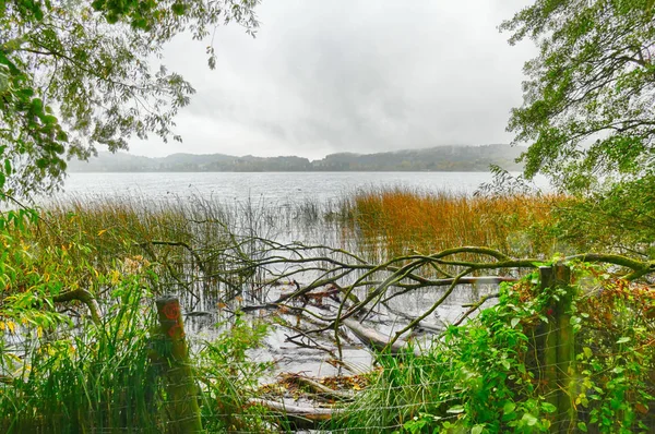 Vue Sur Lac Laach Depuis Sentier Randonnée — Photo