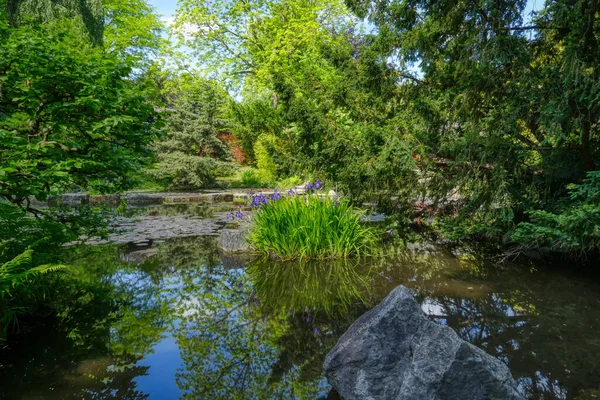 Paisagem Lago Parque Público Leverkusen Alemanha — Fotografia de Stock