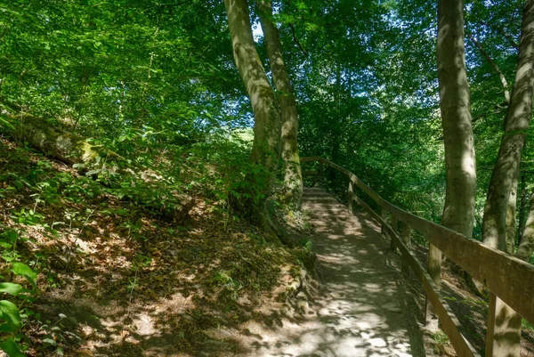 Pista Forestal Con Escaleras Valle Del Neandertal Alemania — Foto de Stock