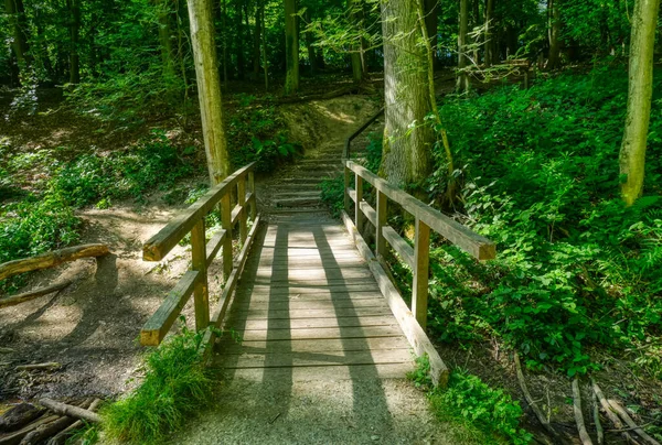 Most Lesní Cestě Údolí Neandertal Německu — Stock fotografie