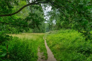 Almanya 'da Troisdorf yakınlarında Ren nehri kıyısında Sieg nehrinde yürüyüş yolu.