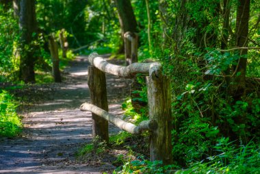 Köprüler Duesseldorf yakınlarındaki Eller ormanında.